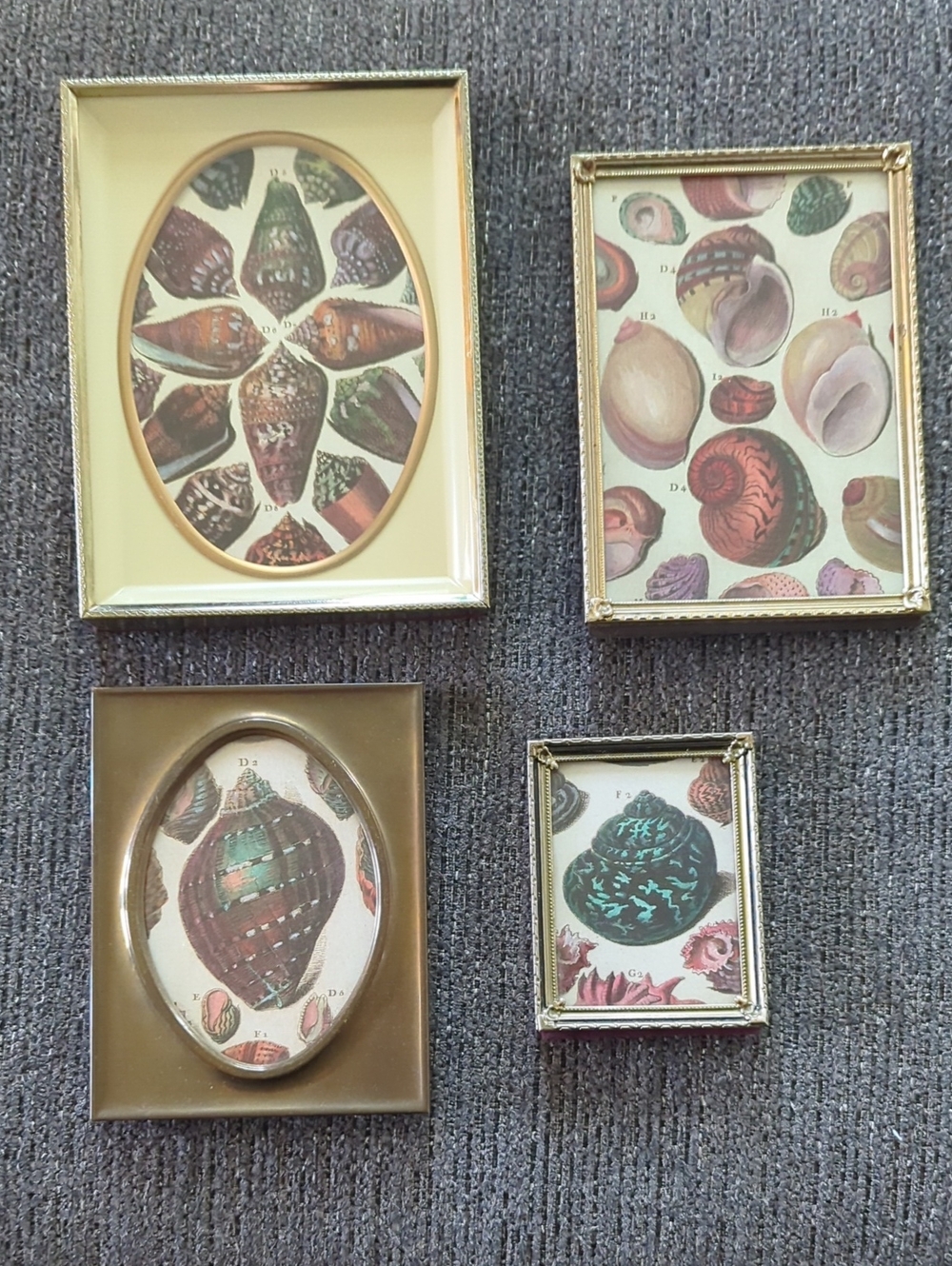Set of 4 Vintage Shell Art Prints in Gold Frames